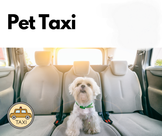 Pet Taxi